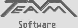 (defunct) TEAM Software